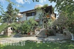 Christeluda in Posidonia, Syros, Cyclades Islands