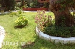 Alexia Rooms in Mesopotamo, Preveza, Epirus