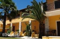 Athina in Athens, Attica, Central Greece