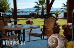 Meltemi in  Ormos Panagias , Halkidiki, Macedonia