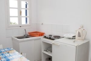 Tatsis Apartments_best prices_in_Apartment_Dodekanessos Islands_Kalimnos_Kalimnos Rest Areas