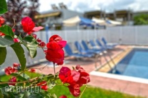 Oliv Apartments_best prices_in_Apartment_Crete_Rethymnon_Rethymnon City