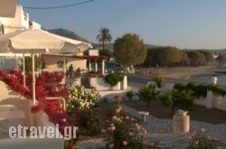 Studios Irene in Ios Chora, Ios, Cyclades Islands