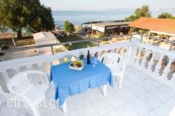 Papidakis Studios in Toroni, Halkidiki, Macedonia