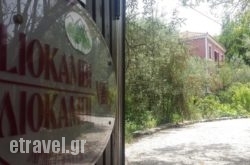 Liokambi Village Bungalows in Poligyros, Halkidiki, Macedonia