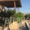 San Giorgio_best deals_Hotel_Cyclades Islands_Antiparos_Antiparos Rest Areas