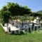 House Elena_best deals_Hotel_Aegean Islands_Thasos_Thasos Chora