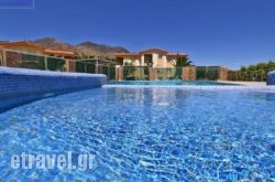 Monachus Monachus in  Monemvasia, Lakonia, Peloponesse