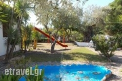 Pleiades Studios And Maisonettes in Archagelos, Rhodes, Dodekanessos Islands