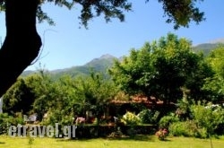 Alekas Studios in Kos Rest Areas, Kos, Dodekanessos Islands