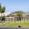 'Lindian Myth' Sea View Studios_best deals_Hotel_Dodekanessos Islands_Rhodes_Lindos