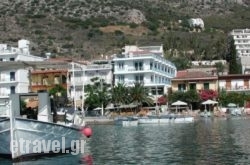 Dolfin in Rhodes Rest Areas, Rhodes, Dodekanessos Islands