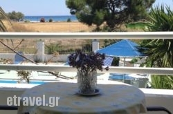 Studios Angela in Paros Chora, Paros, Cyclades Islands