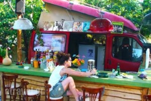 The White Rabbit_best prices_in_Hotel_Macedonia_Halkidiki_Kassandreia