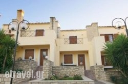 Nisi in  Amaliada, Ilia, Peloponesse