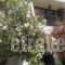 Paradise Hotel_best prices_in_Hotel_Dodekanessos Islands_Kos_Kos Chora