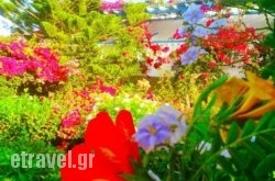 Angelika in Leros Rest Areas, Leros, Dodekanessos Islands