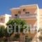 Margarita Apartments_best prices_in_Hotel_Crete_Chania_Palaeochora
