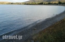 Elea Guesthouse in Salamina Rest Areas, Salamina, Piraeus Islands - Trizonia