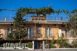 Golden Sun in Pilio Area, Magnesia, Thessaly