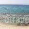 Laskarina Rooms_best deals_Room_Aegean Islands_Thasos_Thasos Chora