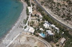 Avra Palm in Koutsounari, Lasithi, Crete