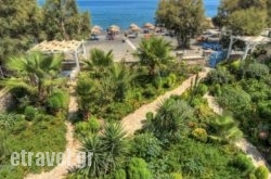 Oceanis Bay in Naousa, Imathia, Macedonia