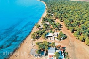 Villa Moonray_holidays_in_Villa_Central Greece_Attica_Agia Paraskevi