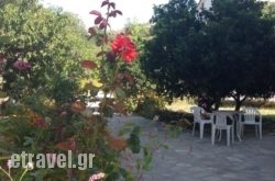 Alekos Rooms And Apartments in Skyros Chora, Skyros, Sporades Islands