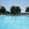Diamantis Studios&Apartments_best prices_in_Apartment_Cyclades Islands_Naxos_Mikri Vigla