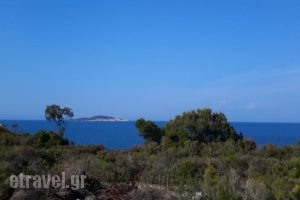 En Iko Christianna_best deals_Hotel_Macedonia_Halkidiki_Ierissos