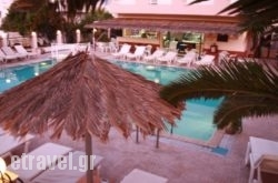 Zouboulia Apartments in Sitia, Lasithi, Crete