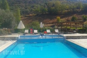 Ataviros Hotel_best prices_in_Hotel_Dodekanessos Islands_Rhodes_Embonas