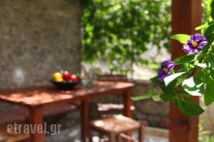 Traditionnal House Lefkada_best prices_in_Hotel_Ionian Islands_Lefkada_Karia