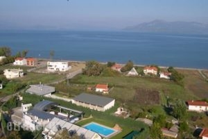Ktima Karassou_travel_packages_in_Central Greece_Fthiotida_Kamena Vourla
