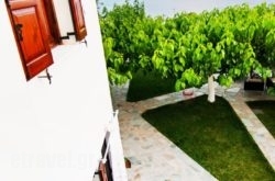 Thalassia Studios in Andros Chora, Andros, Cyclades Islands