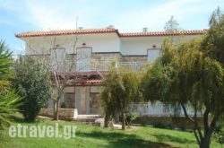 Siskos in Skiathos Chora, Skiathos, Sporades Islands