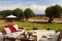 Rhodian Villa in Agios Stefanos, Mykonos, Cyclades Islands