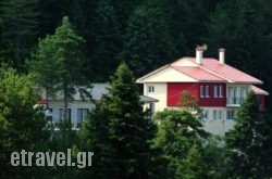 Salvia in Kamares, Sifnos, Cyclades Islands