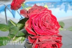 Creta Sun Hotel Studios in Folegandros Chora, Folegandros, Cyclades Islands