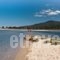 Vrahos House Apartments_best deals_Apartment_Macedonia_Halkidiki_Nikiti