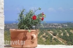 Dalabelos Estate in Parga, Preveza, Epirus