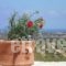 Dalabelos Estate_accommodation_in_Hotel_Crete_Rethymnon_Mylopotamos