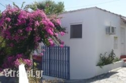 Paradis Studios in Troulos, Skiathos, Sporades Islands