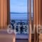 Poseidonion Grand Hotel_best prices_in_Hotel_Piraeus Islands - Trizonia_Spetses_Spetses Chora