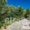Ktima Kourou_best deals_Hotel_Ionian Islands_Zakinthos_Laganas