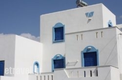 Chrysalis in Chalkidiki Area, Halkidiki, Macedonia