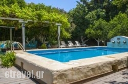 Dream House in Naousa, Imathia, Macedonia